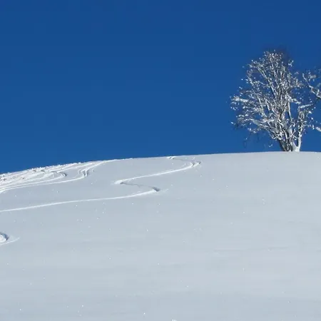 Appartement Trendapartment Russbach am Pass Gschütt