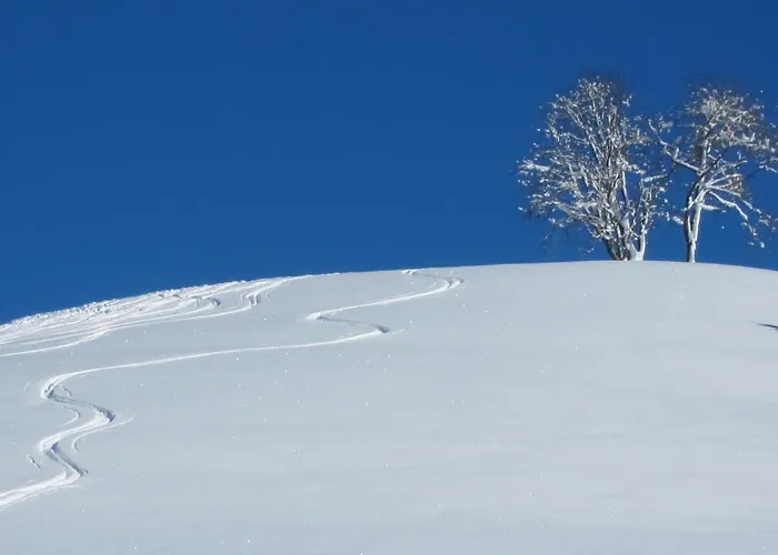 Apartamento Trendapartment Russbach am Pass Gschütt